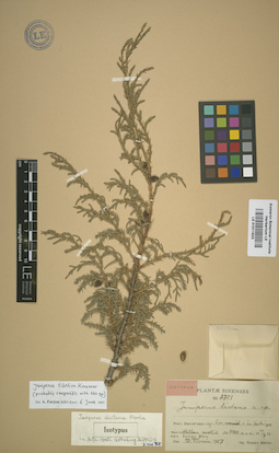 LE 01011623
