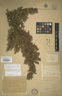 LE 01011626