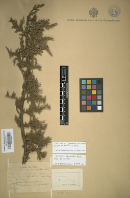 LE 01011627