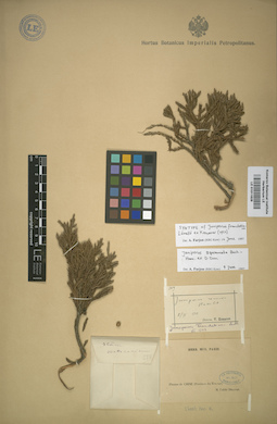 LE 01011628