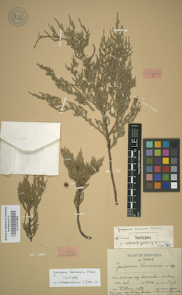 LE 01011635