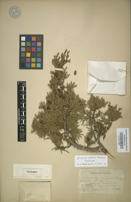 LE 01011650
