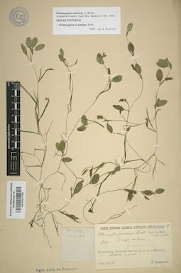 LE 01011700