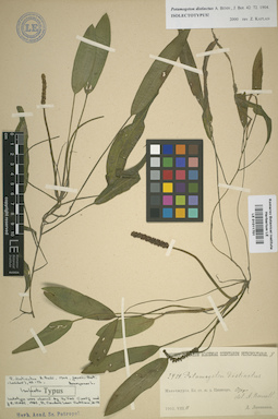 LE 01011701