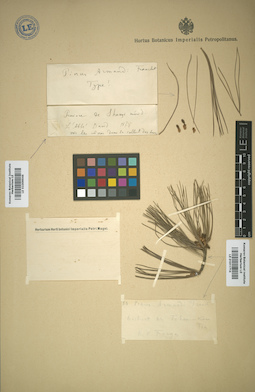 LE 01011714