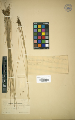LE 01011715