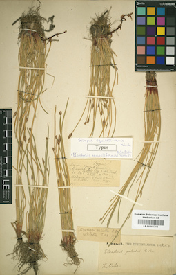 LE 01011716