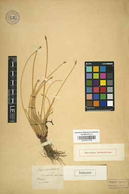 LE 01011718