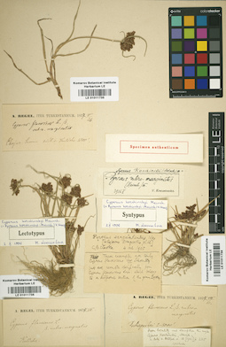 LE 01011734