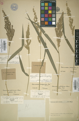 LE 01011798