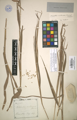 LE 01011799