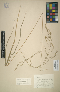 LE 01011801