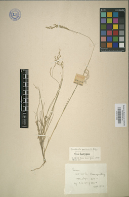 LE 01011802