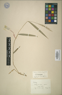 LE 01011803
