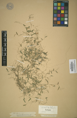 LE 01011804