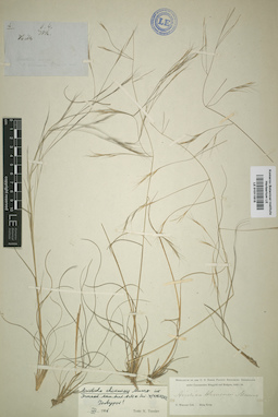 LE 01011815