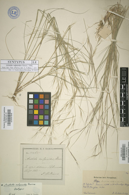 LE 01011819