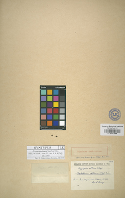 LE 01011854