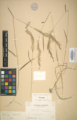 LE 01011860