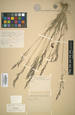 LE 01011862