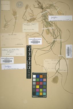 LE 01011912