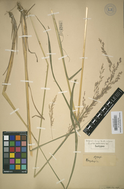 LE 01011913