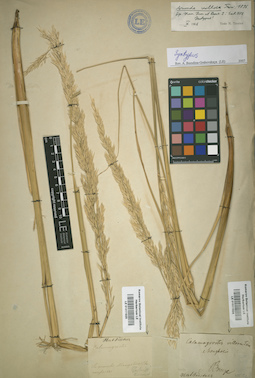LE 01011924