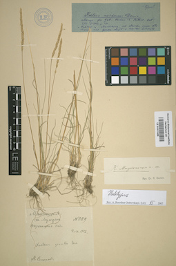 LE 01011935