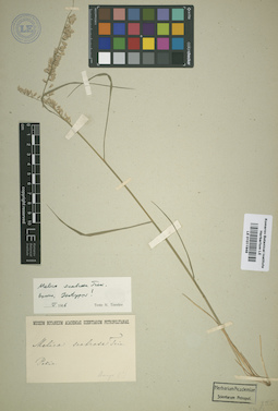 LE 01011949