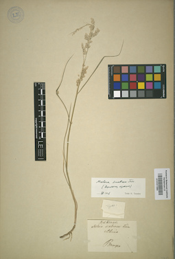 LE 01011950