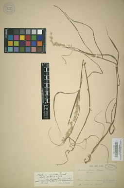 LE 01011951