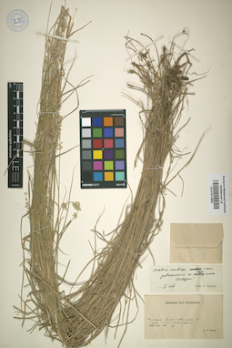 LE 01011953