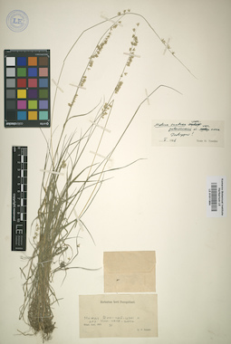 LE 01011954