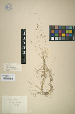 LE 01011975