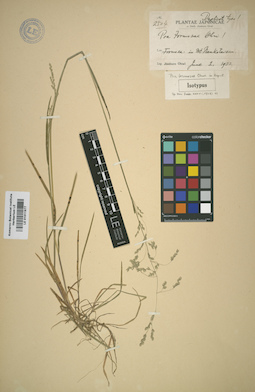LE 01011977