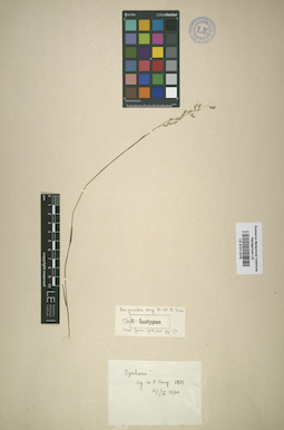LE 01011978