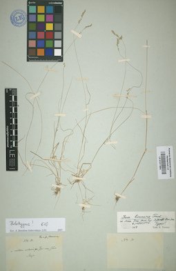 LE 01011984