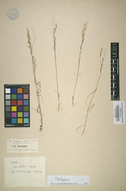 LE 01011985