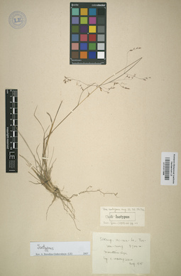 LE 01011986