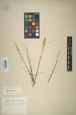 LE 01011987