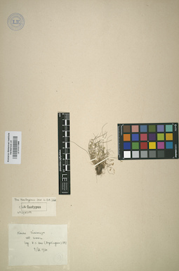 LE 01011988