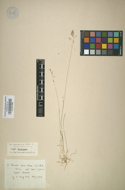 LE 01011989