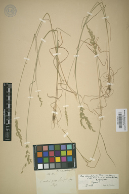 LE 01011991
