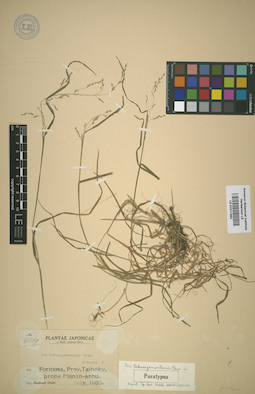 LE 01011992