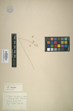 LE 01011993