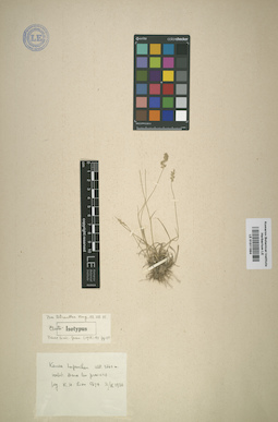 LE 01011994
