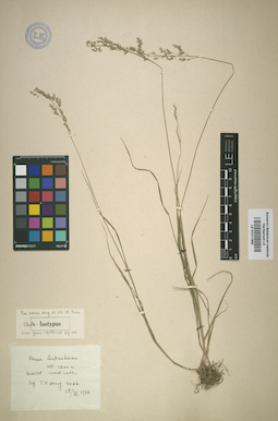 LE 01011995