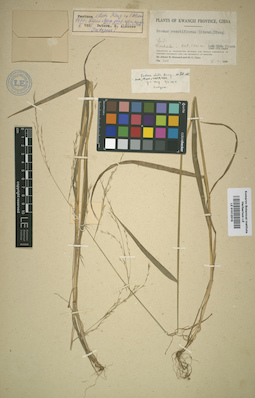LE 01012016