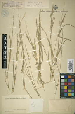 LE 01012034