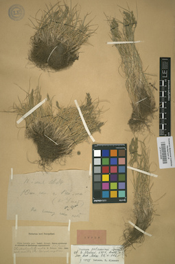 LE 01012035